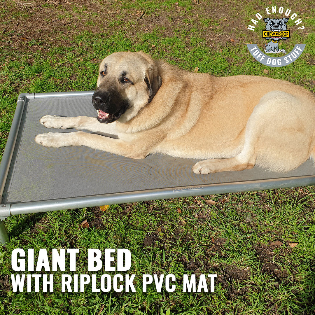 Chew Proof Riplock PVC Dog Bed – Built for the Toughest Dogs