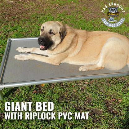 Chew Proof Riplock PVC Dog Bed – Built for the Toughest Dogs