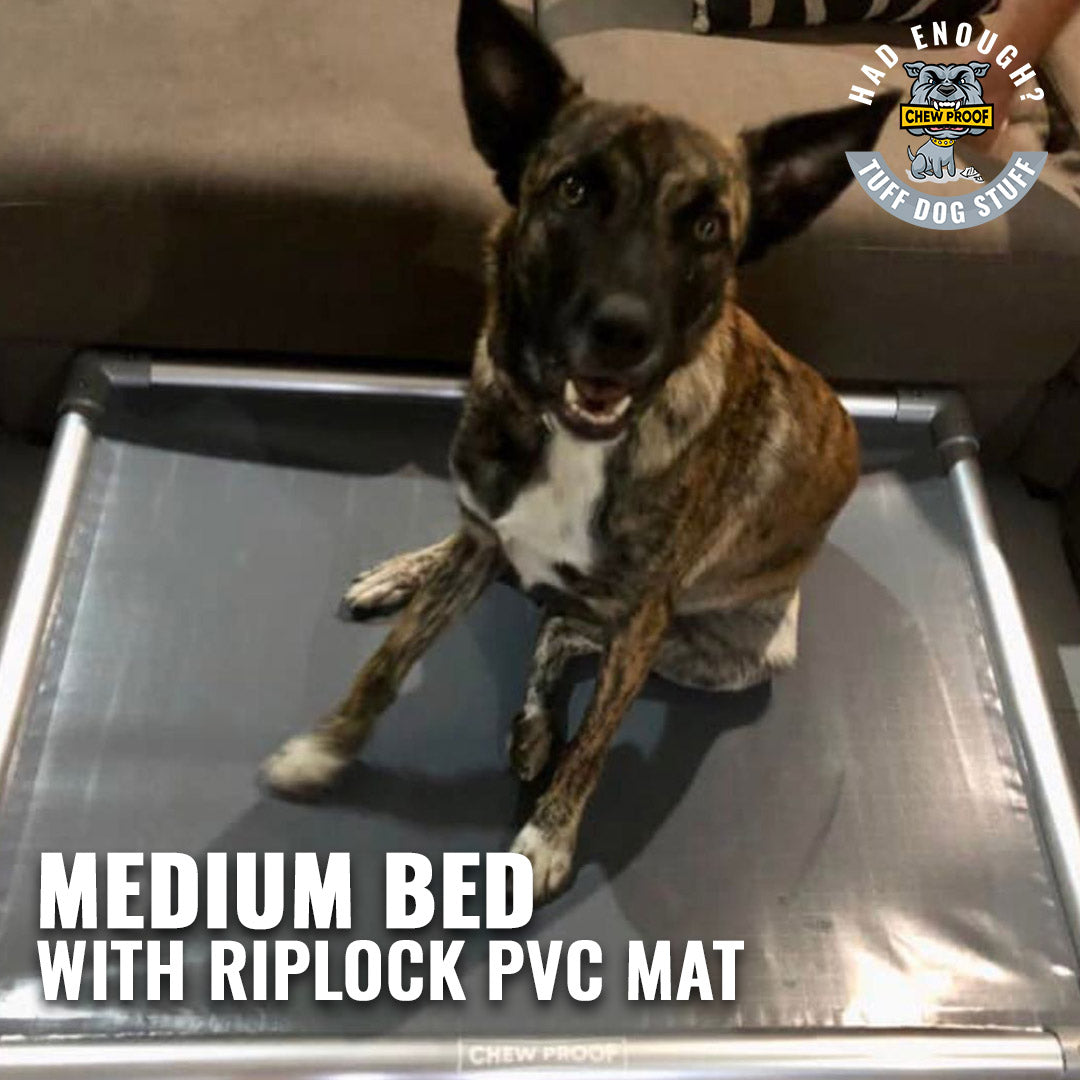Chew Proof Riplock PVC Dog Bed – Built for the Toughest Dogs